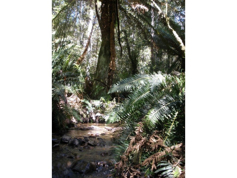 232 Zig Zag Road, Calder TAS 7325