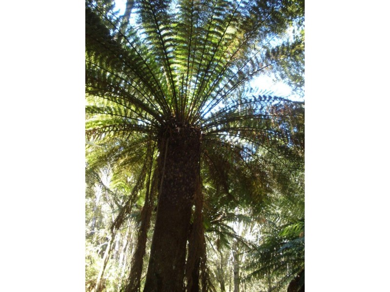 232 Zig Zag Road, Calder TAS 7325