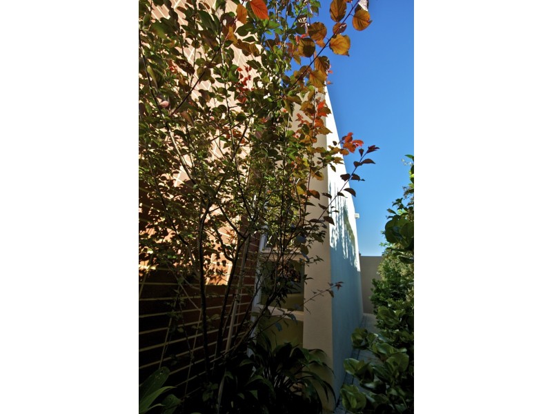 28A Windsor St, Perth WA 6000