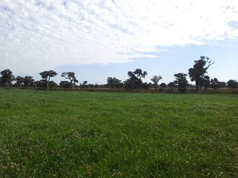 442 Goss Road, Uduc WA 6220