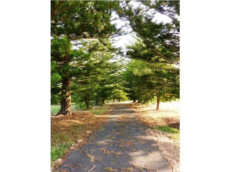 249 Friday Hut Road, Tintenbar NSW 2478