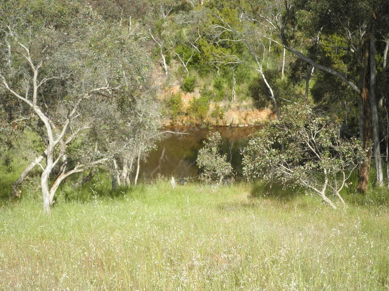 40 Brown Road, Bradbury SA 5153