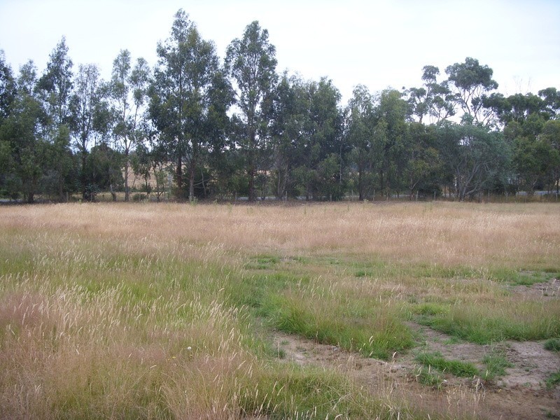 Lot 16  Minerva Drive, Perth TAS 7300