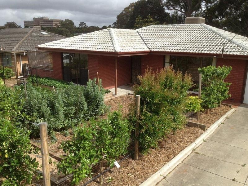 20 Glengyle Avenue, Modbury SA 5092