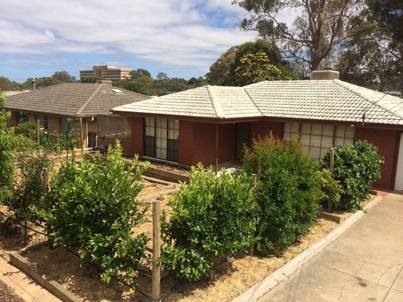 20 Glengyle Avenue, Modbury SA 5092