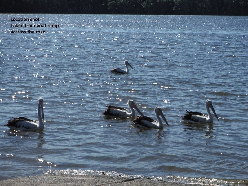 524 Yamba Road, Maclean NSW 2463