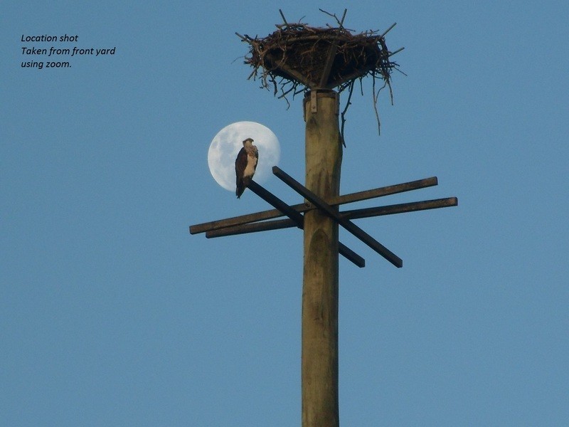 524 Yamba Road, Maclean NSW 2463