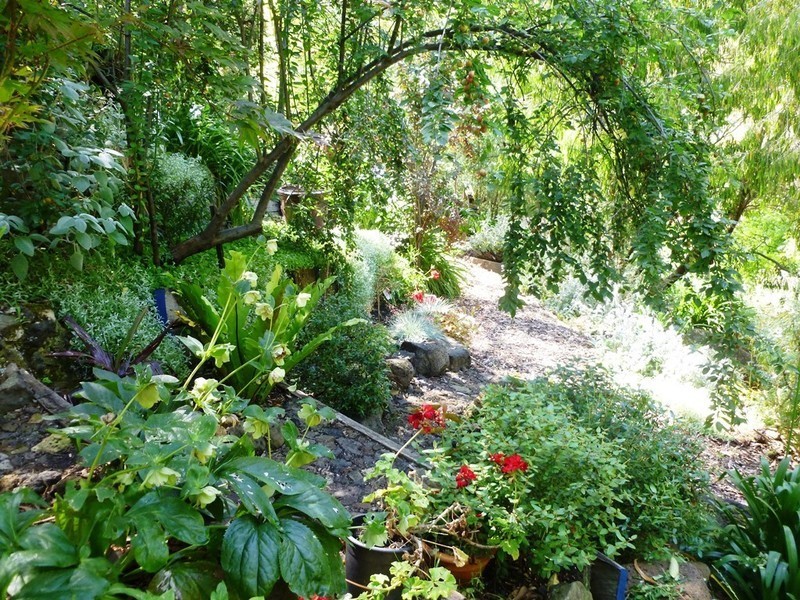 137 Green Street, Ivanhoe VIC 3079