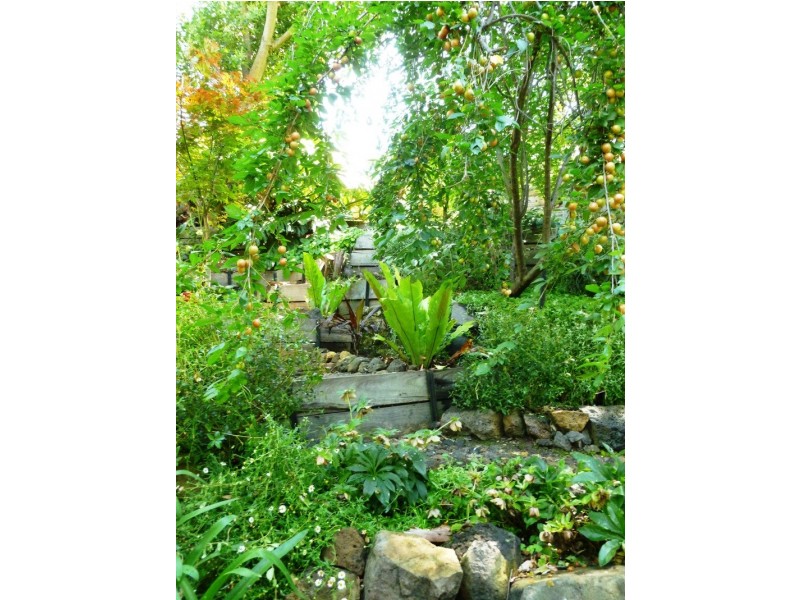 137 Green Street, Ivanhoe VIC 3079