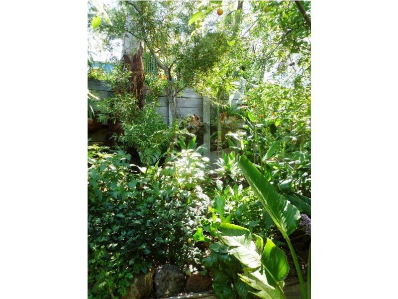 137 Green Street, Ivanhoe VIC 3079