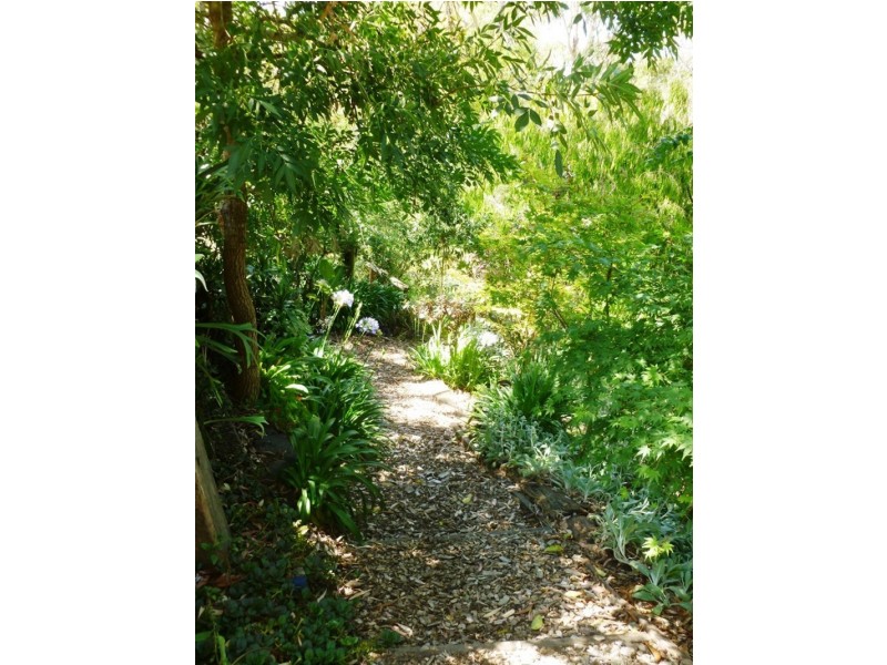 137 Green Street, Ivanhoe VIC 3079