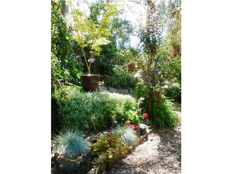 137 Green Street, Ivanhoe VIC 3079