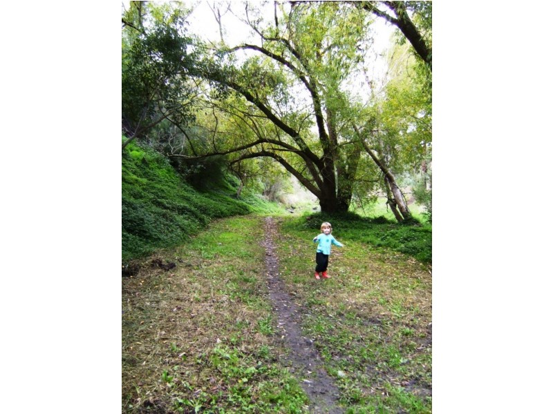 137 Green Street, Ivanhoe VIC 3079