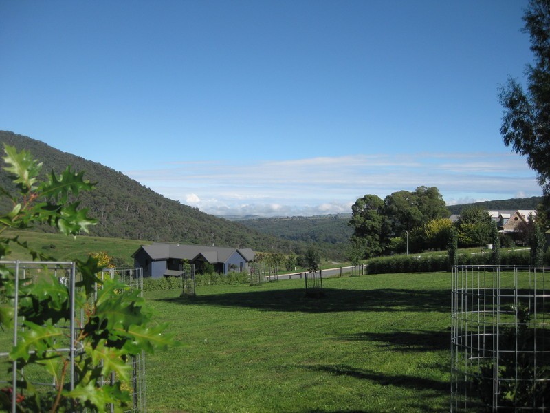 3 Lightwood Court, Merrijig VIC 3723