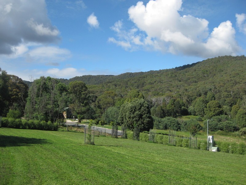 3 Lightwood Court, Merrijig VIC 3723