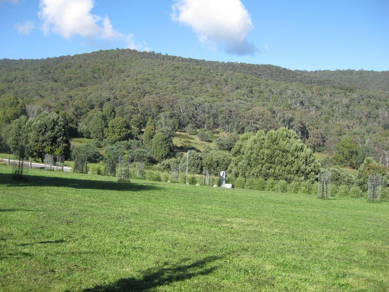 3 Lightwood Court, Merrijig VIC 3723