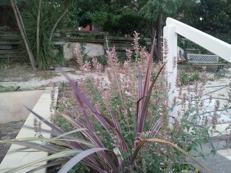 38 Meadow Avenue, Hawthorndene SA 5051