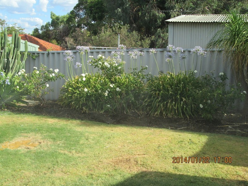3B Paris Place, Coolbellup WA 6163