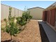 9 Ariel Way, Mannum SA 5238