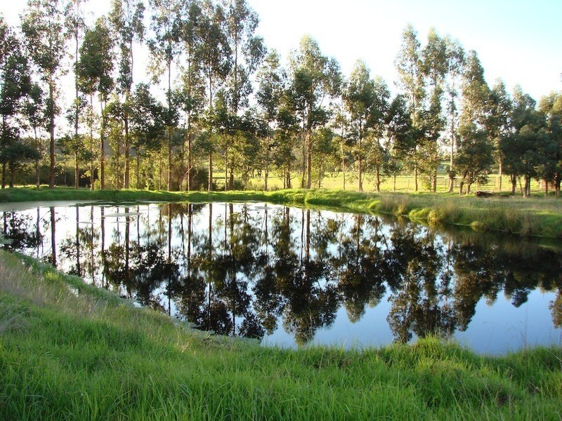 14 Norna Drive, Crowea WA 6258