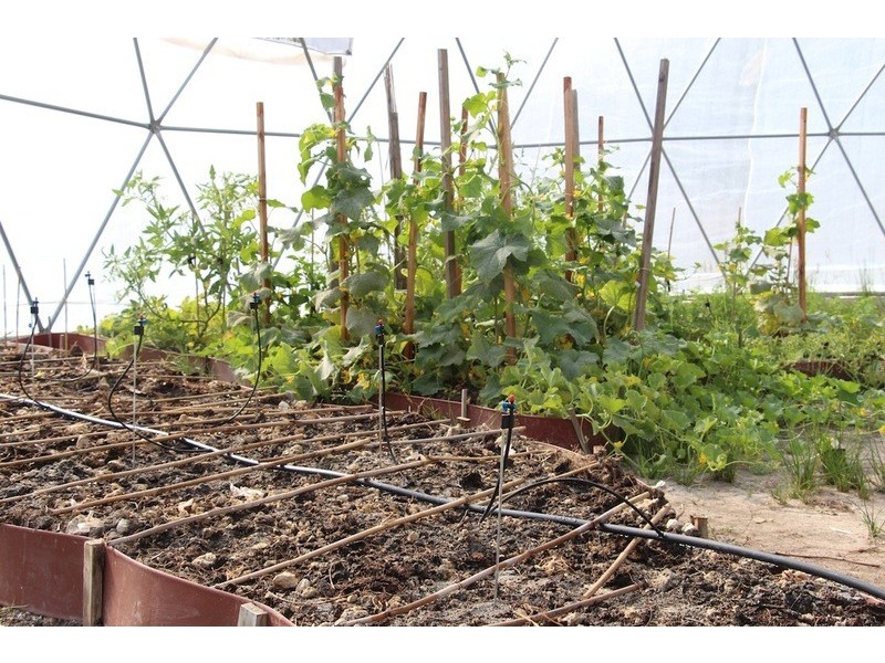 14 Norna Drive, Crowea WA 6258