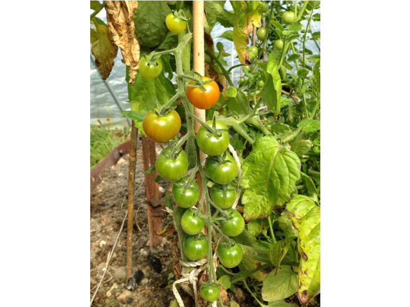 14 Norna Drive, Crowea WA 6258