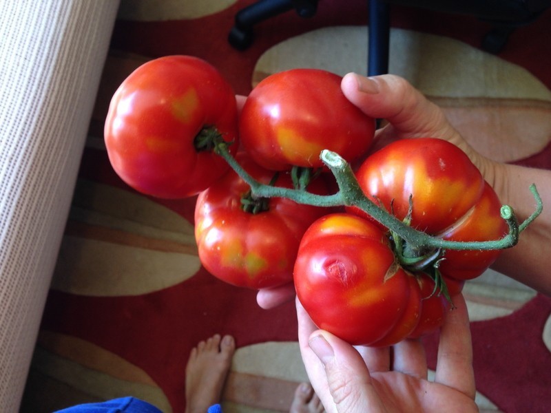 14 Norna Drive, Crowea WA 6258