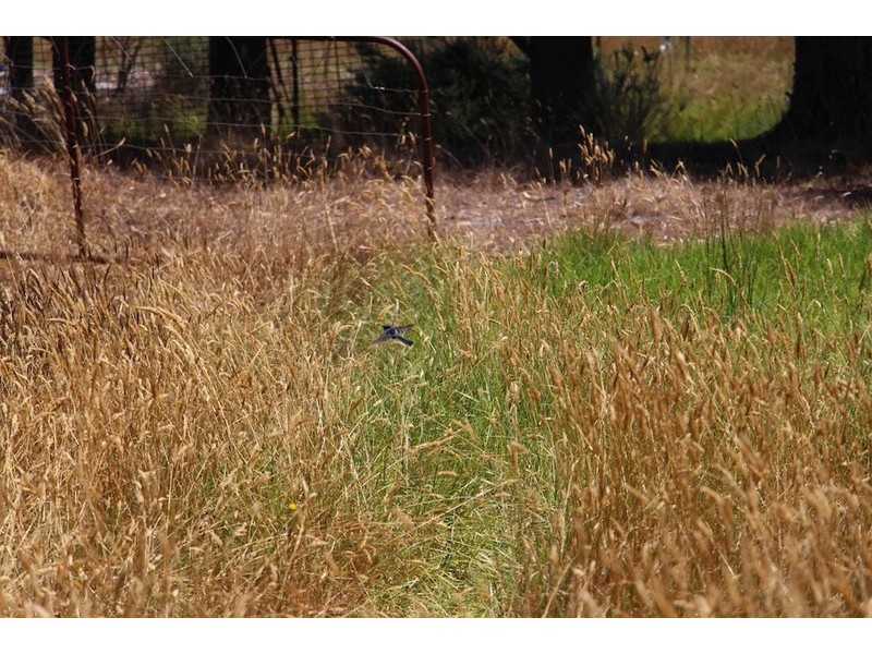 14 Norna Drive, Crowea WA 6258