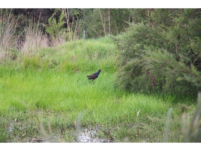 14 Norna Drive, Crowea WA 6258