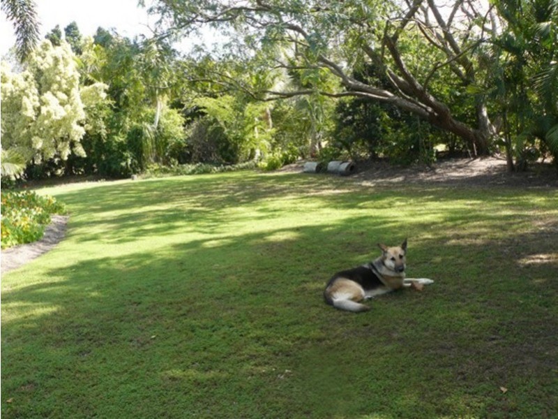 1400 Buxton Road, Buxton QLD 4660