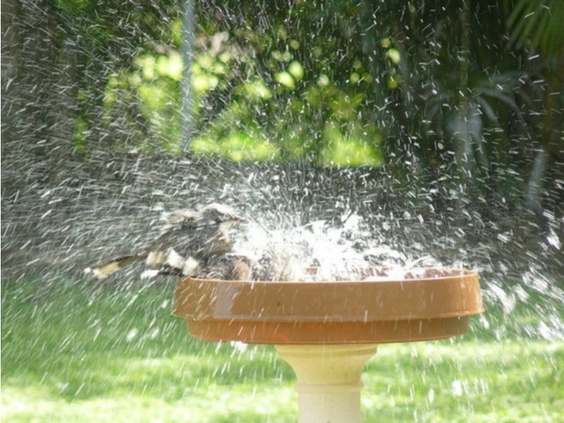 1400 Buxton Road, Buxton QLD 4660