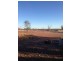 Lightning Ridge NSW 2834