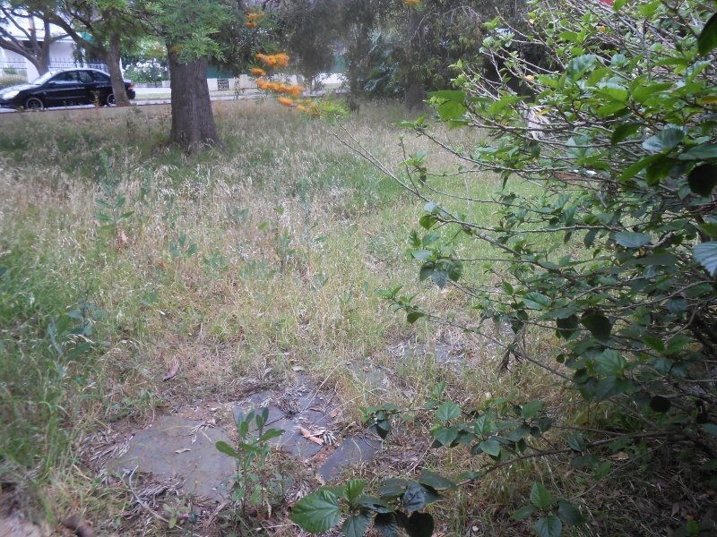 9 Elizabeth Street (adj Lower Mitcham), Clapham SA 5062