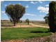 434 Rosenzweig Road, Frayville SA 5238