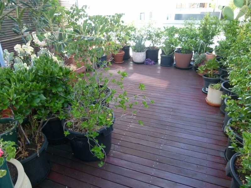 4/11 Altona Street, West Perth WA 6005