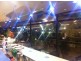 Gosford NSW 2250