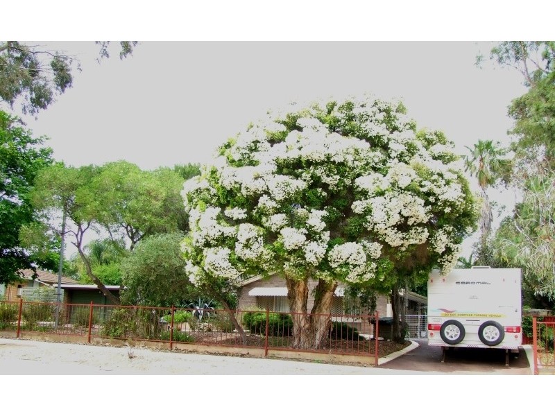 Lot 4 Watkins Rd, Mundijong WA 6123