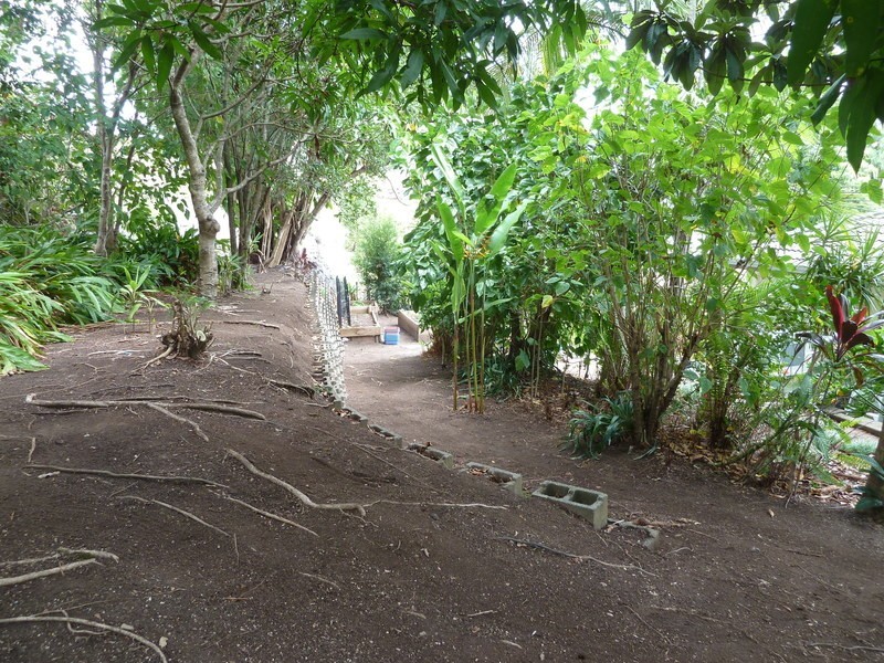 8 Jane Court, Nambour QLD 4560