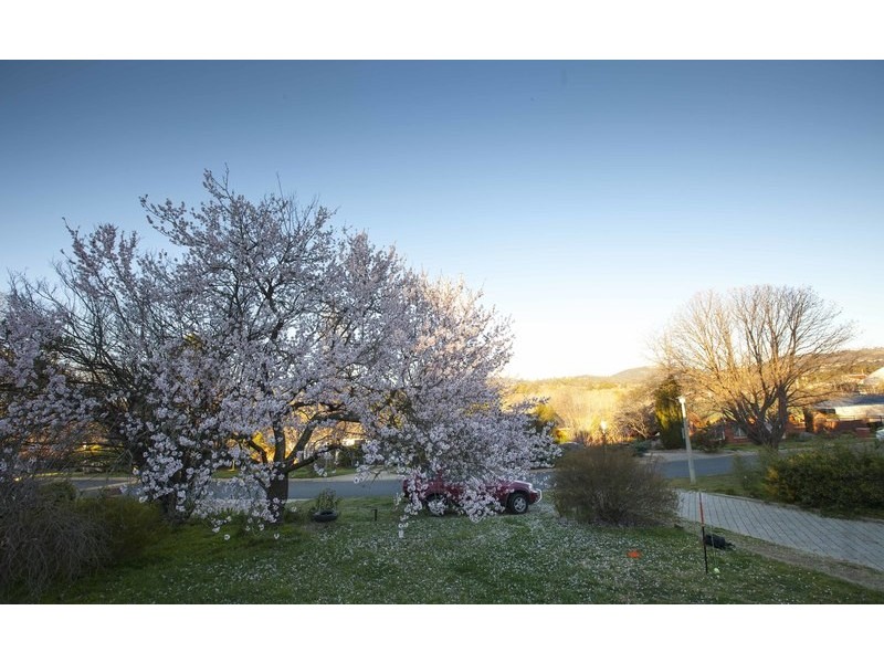 8 Service Street, Curtin ACT 2605