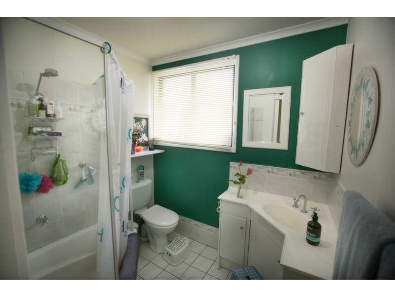 8 Service Street, Curtin ACT 2605