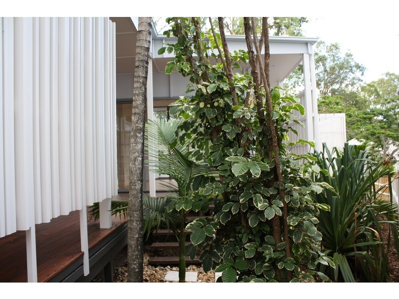 49 Culmstock Place, Fig Tree Pocket QLD 4069
