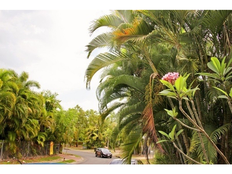 4 Songlark Street, Bakewell NT 0832