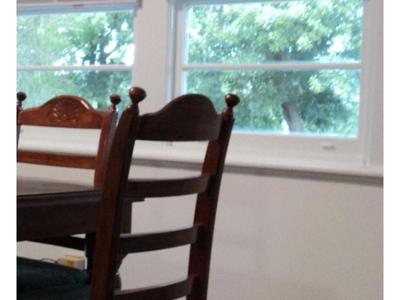 456  Mount Lindesay Road, Tenterfield NSW 2372