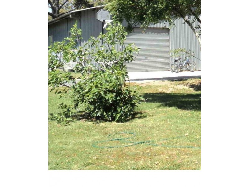 456  Mount Lindesay Road, Tenterfield NSW 2372