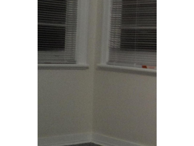 456  Mount Lindesay Road, Tenterfield NSW 2372