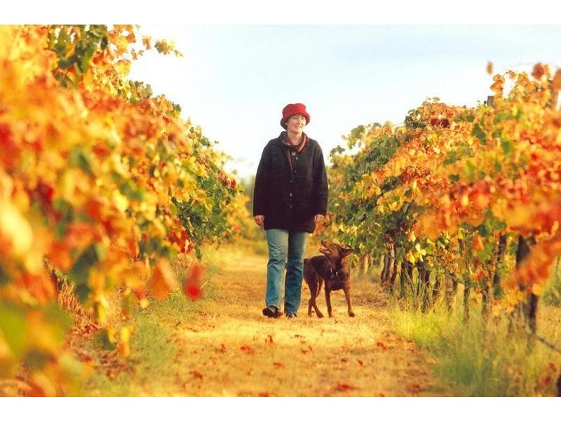 18 Millers Road, Kingaroy QLD 4610