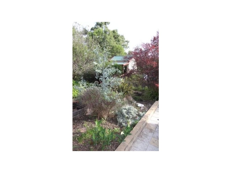47 Port Macquarie Road, Bogee NSW 2849