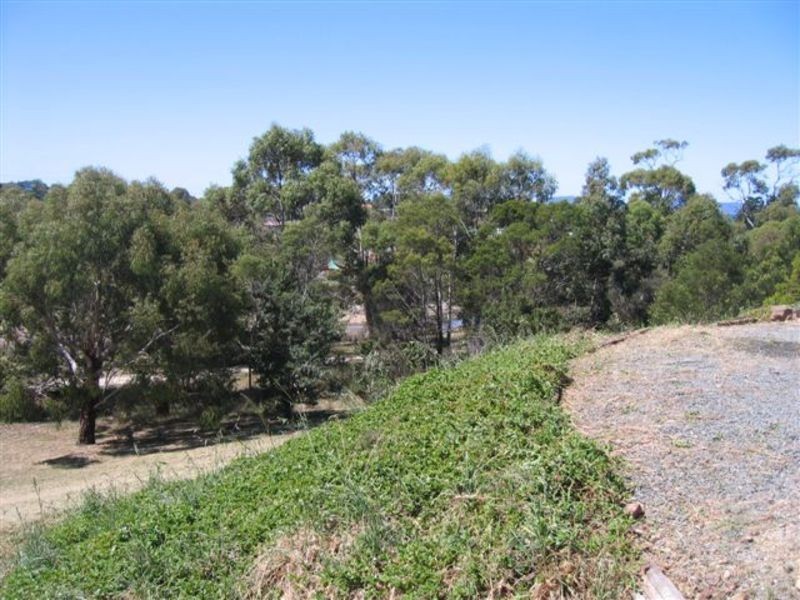 24 St. Margarets Court, Swansea TAS 7190