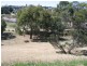 24 St. Margarets Court, Swansea TAS 7190