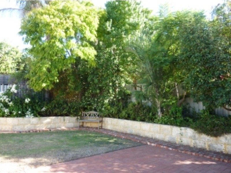 215 Woodside St, Doubleview WA 6018